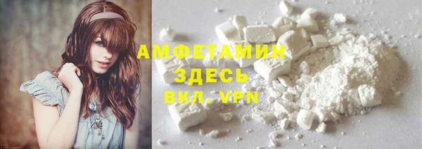 сатива Кукмор