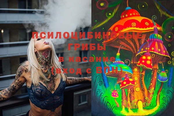 тгк Красноперекопск